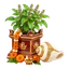 fest-ekadashi