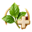 seva-health